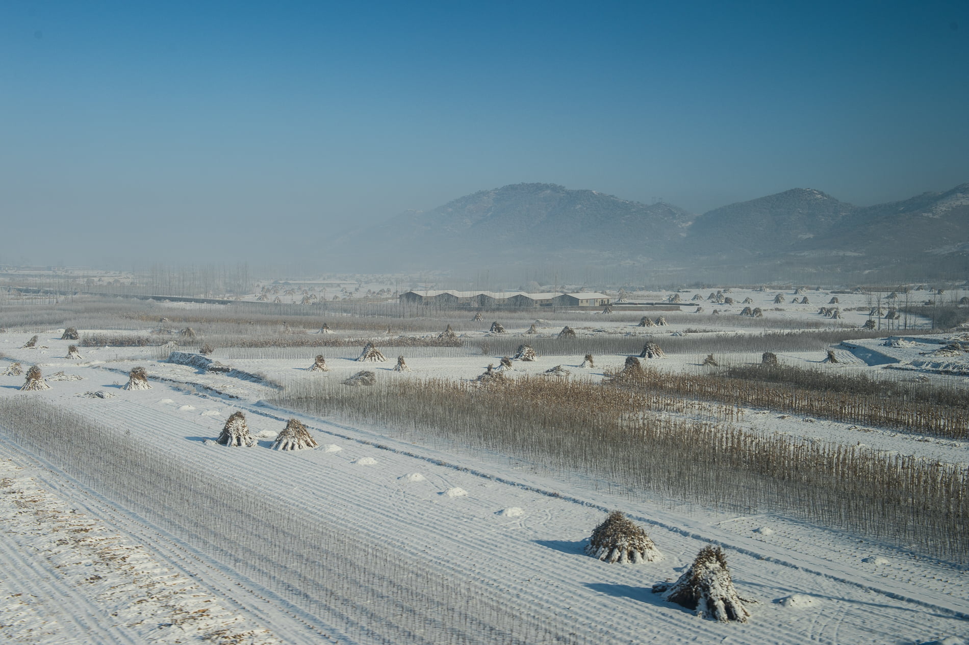 photos-rapport-annuel-ceva-3864