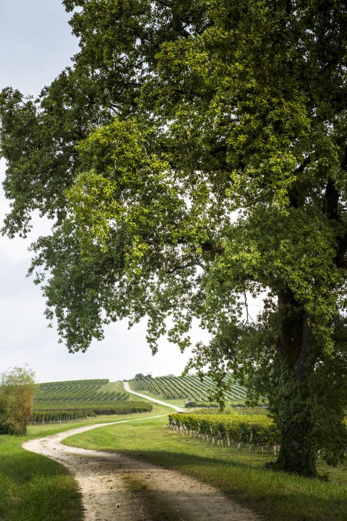 PONTET BEL AIR : reportage photo château