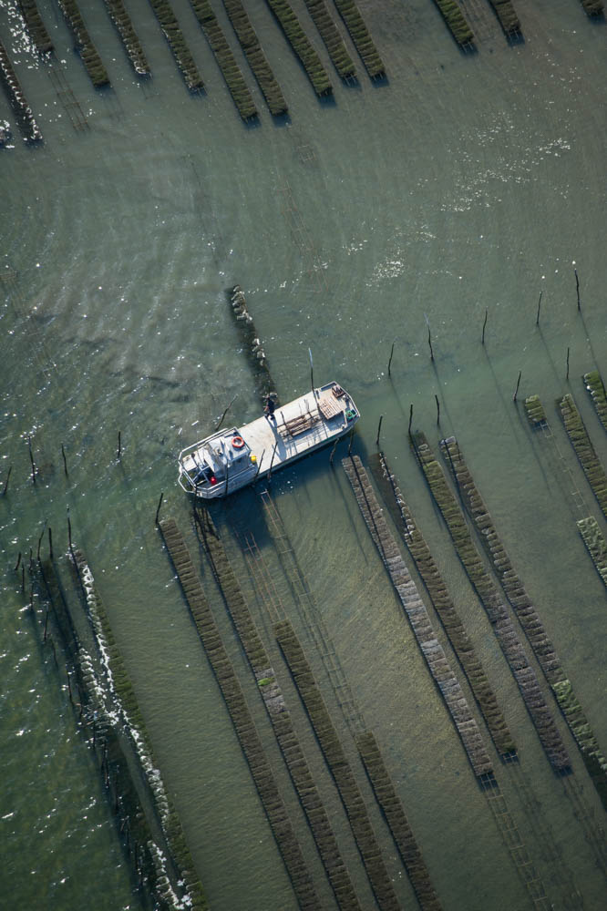 photo bassin d'arcachon