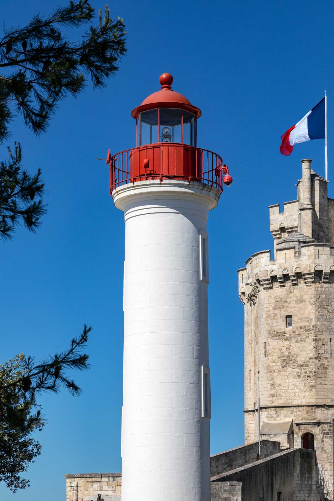 Pourquoi choisir une agence locale pour la création de votre site internet : l’exemple de la Charente